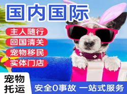惠州空运公司国际宠物托运 【国